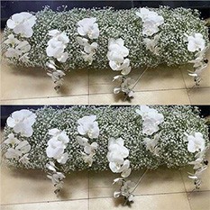 babys breath runner