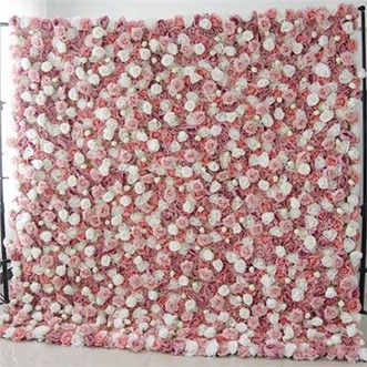 Woz Rose Backdrop